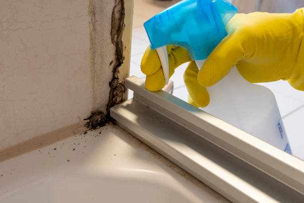 Best Mold Remediation for Healthcare Facilities  in Johnsonburg, PA